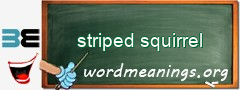 WordMeaning blackboard for striped squirrel